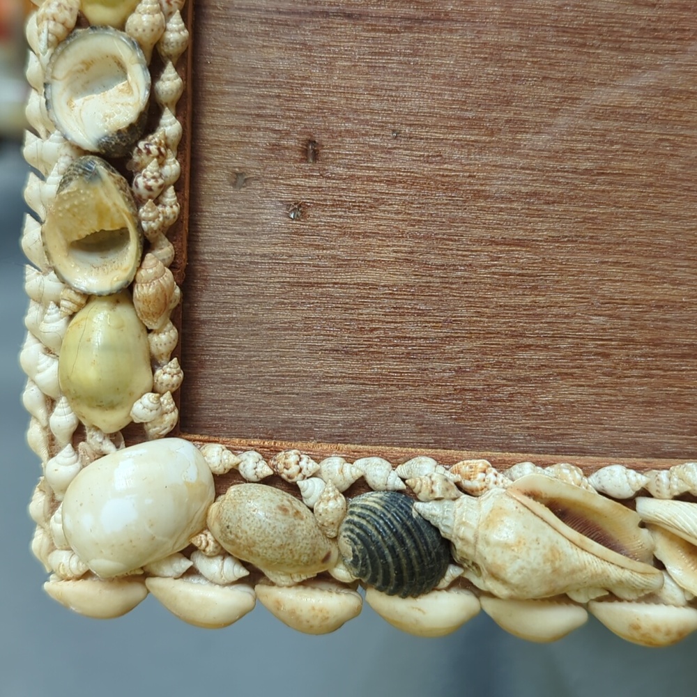 Seashell Picture Frame. - Picture 2 of 8